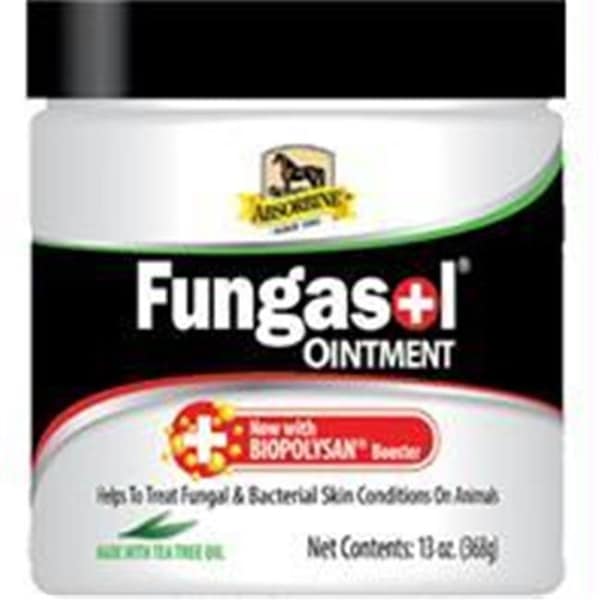 W.F. Young W F Young; Inc-Absorbine Fungasol Ointment 13 Ounce 689500 - main